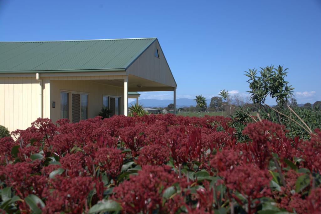 Milawa Muscat Retreat B&B Extérieur photo